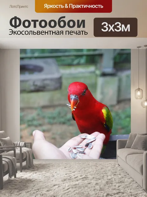 Фотообои Птица
