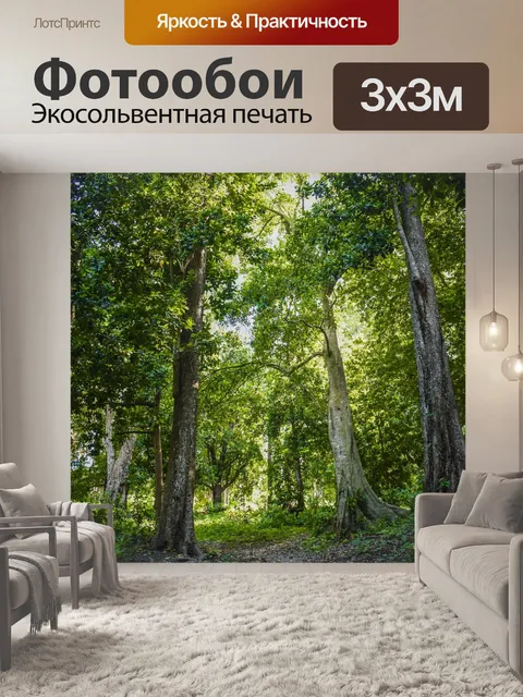 Фотообои Лес