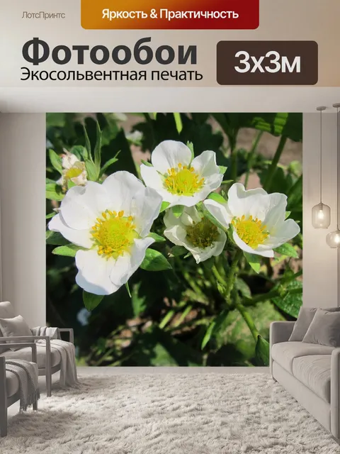 Фотообои Клубника