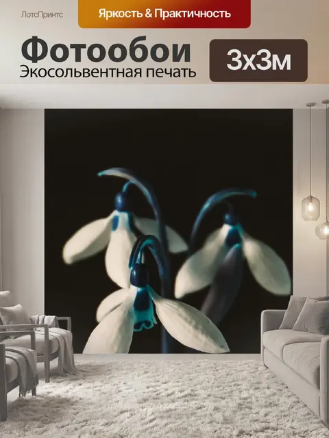 Фотообои Цветы