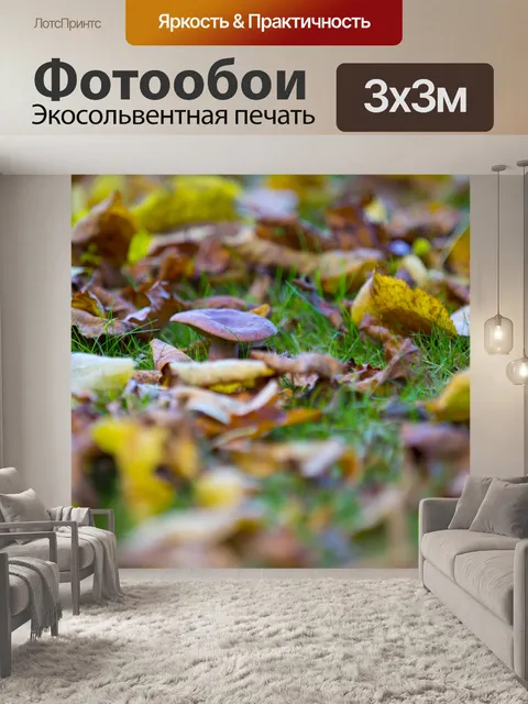 Фотообои грибы