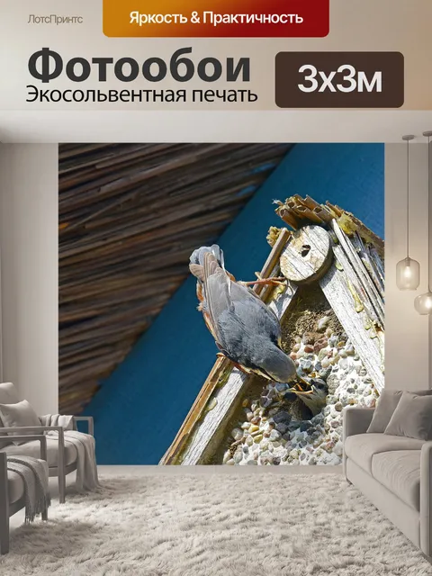 Фотообои Поползень
