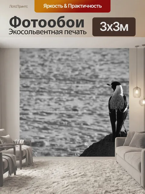 Фотообои Сорока