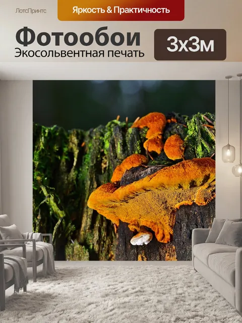 Фотообои Лес