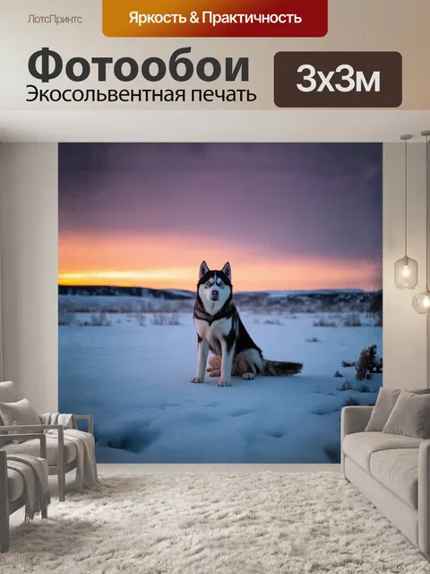 Фотообои в сердце заснеженной пустыни, хаски в полной красе, сидящий на замерзшем озере, окруженном холодными скалами