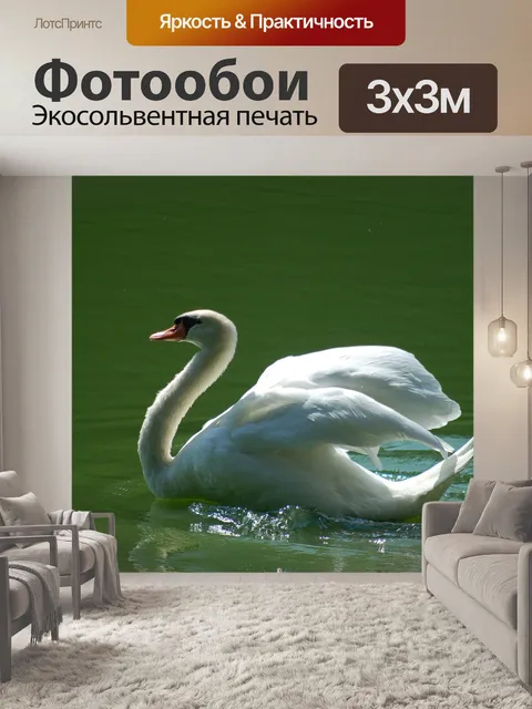 Фотообои Лебедь