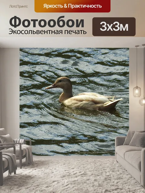 Фотообои Птица