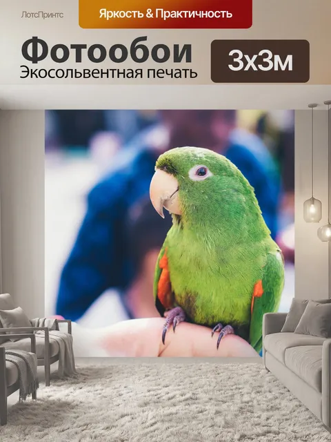 Фотообои Попугай