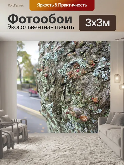 Фотообои Кора дерева