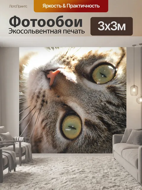 Фотообои Кошка