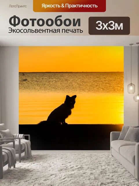 Фотообои Заход солнца