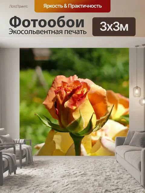 Фотообои Роза