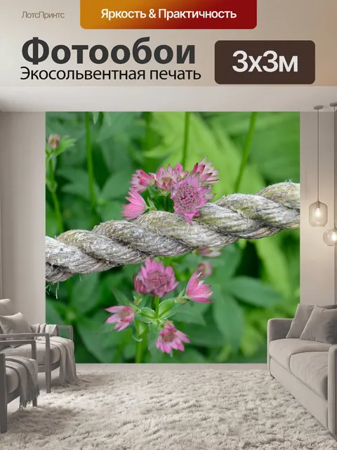Фотообои Веревка