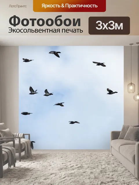 Фотообои Птицы летают