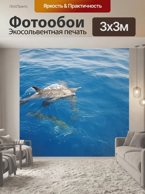Фотообои Дельфин