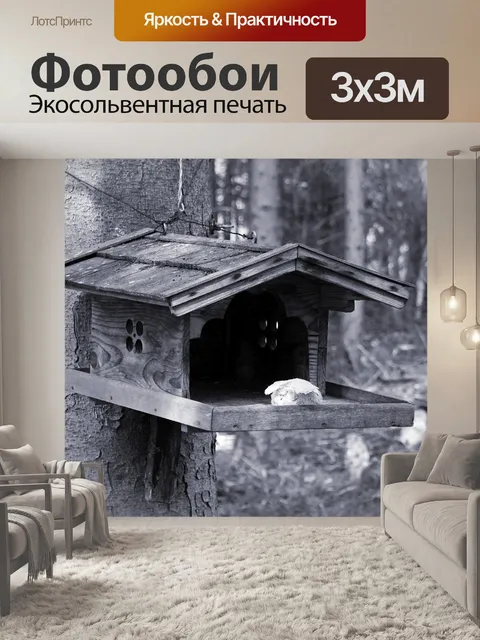 Фотообои Птица