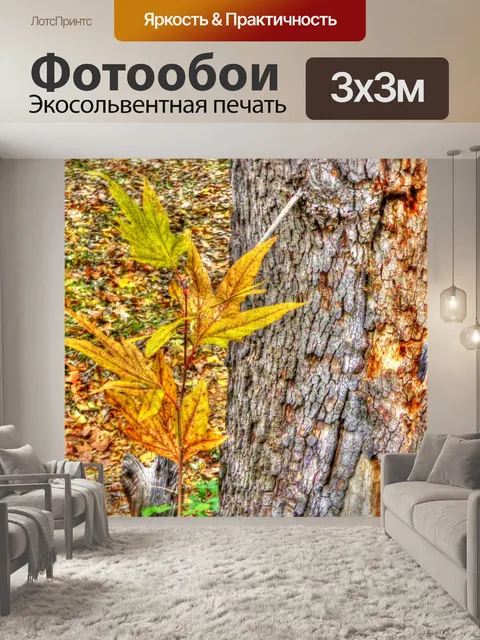 Фотообои Осенние листья
