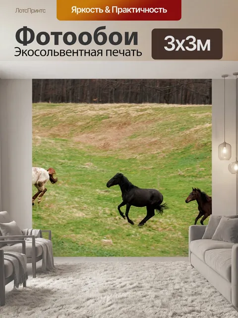 Фотообои Лошади