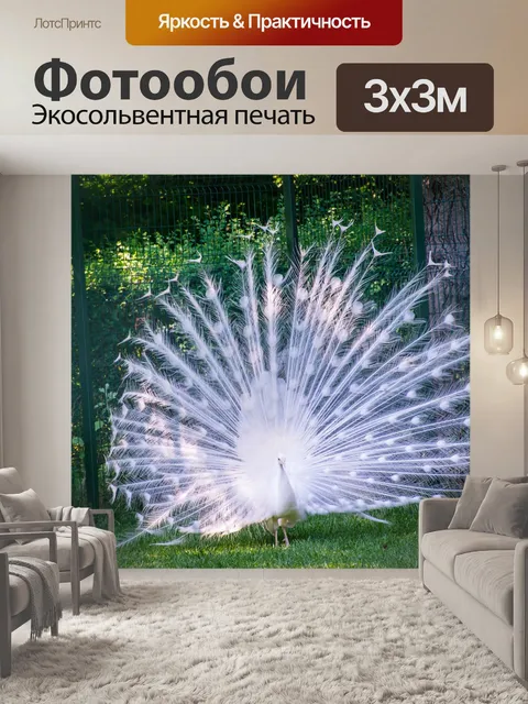Фотообои Павлин