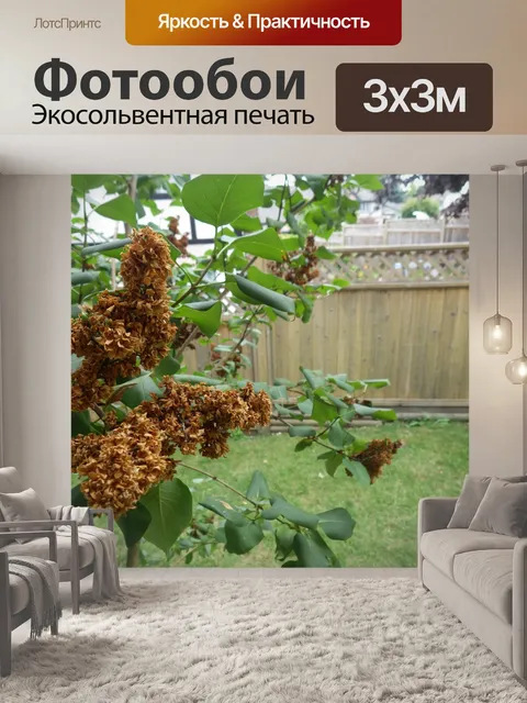 Фотообои увядшие цветы