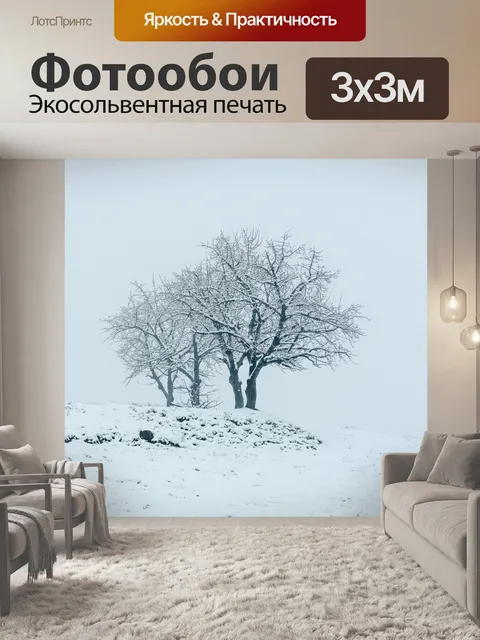 Фотообои Снег
