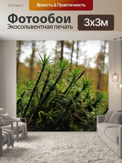Фотообои Лес