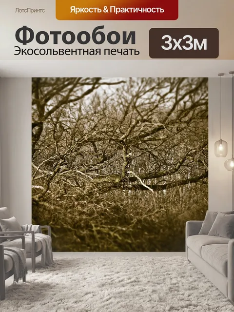 Фотообои Лес