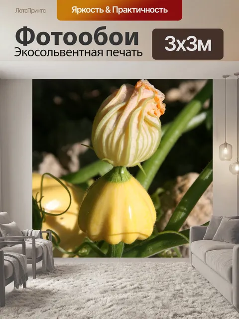 Фотообои Цветок