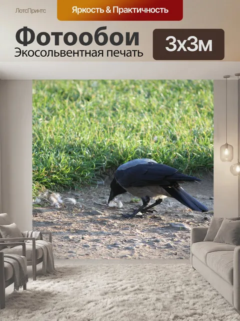 Фотообои Птица