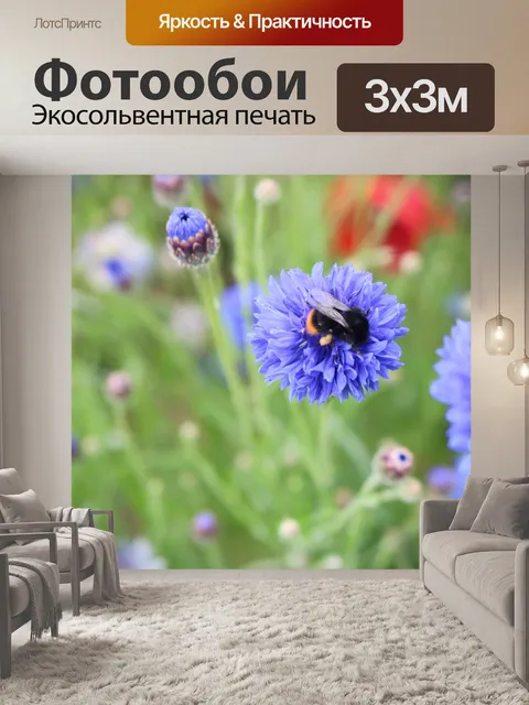Фотообои Цветы