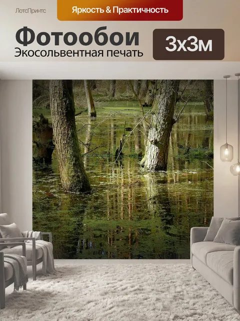Фотообои Природа