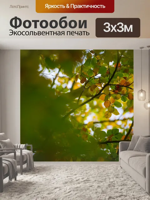 Фотообои осень