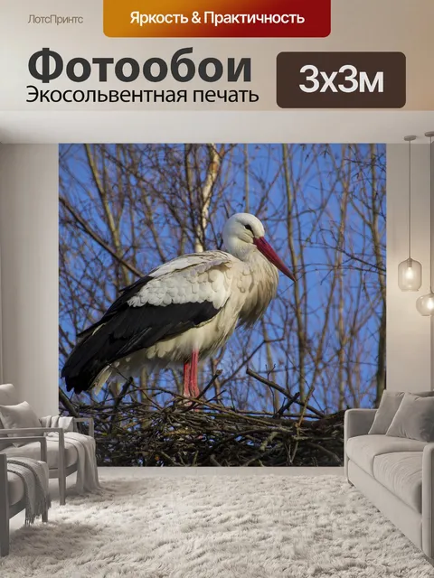 Фотообои Аист