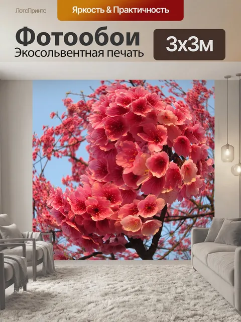 Фотообои Цветение вишни