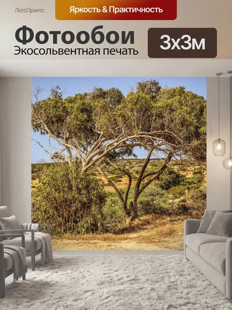 Фотообои Эвкалипт