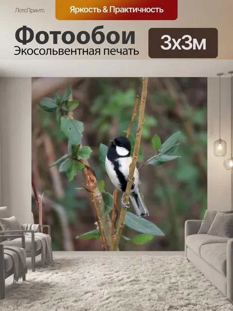 Фотообои Животное