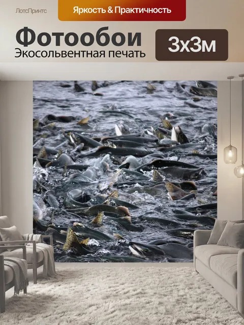 Фотообои Лосось