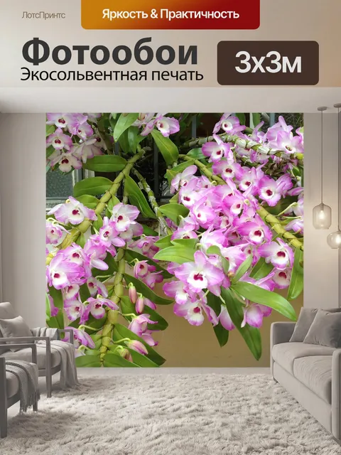 Фотообои Орхидеи