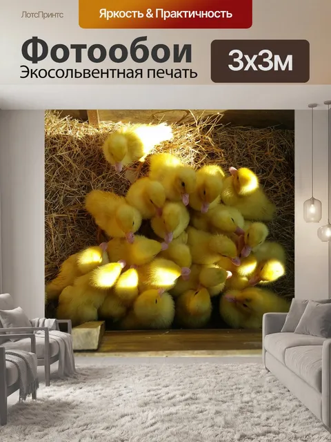 Фотообои Утки