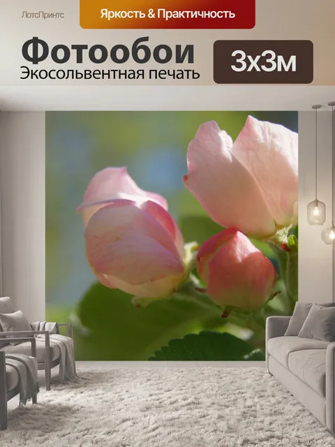 Фотообои Цветы