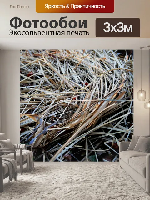 Фотообои сухой травы