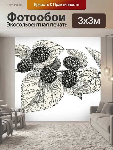 Фотообои Черная шелковица