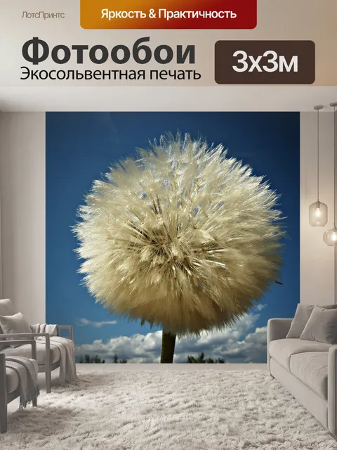 Фотообои Одуванчик