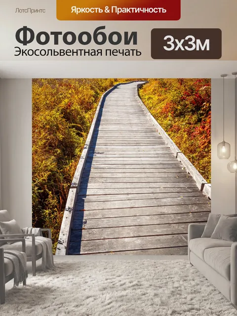 Фотообои тропа в болотах