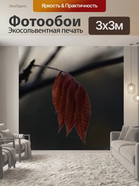 Фотообои Осень