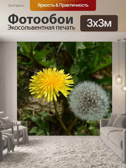 Фотообои Цветок