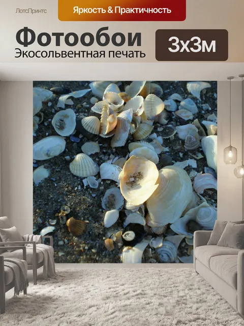 Фотообои Моллюски