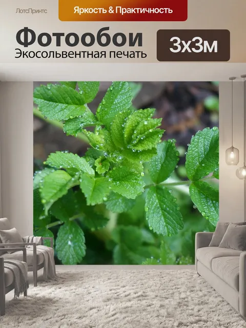 Фотообои Листья