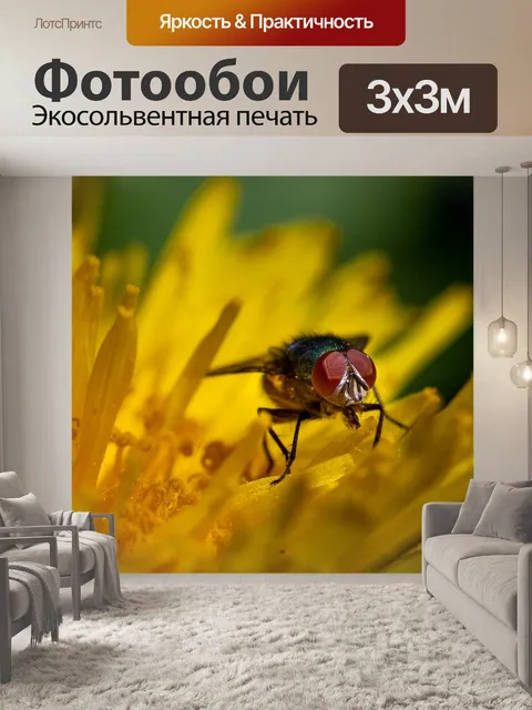 Фотообои Летать