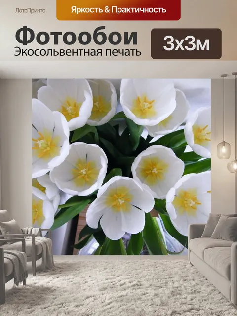 Фотообои Тюльпаны